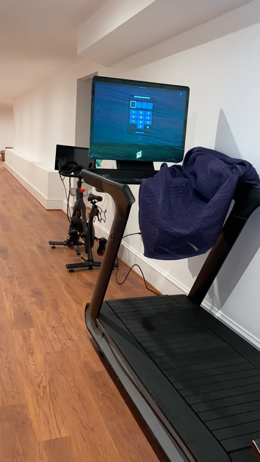 Peloton Tread + Bike, basement gym
